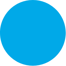 Dott.ssa Laura Balducci Odontoiatra - cerchio azzurro